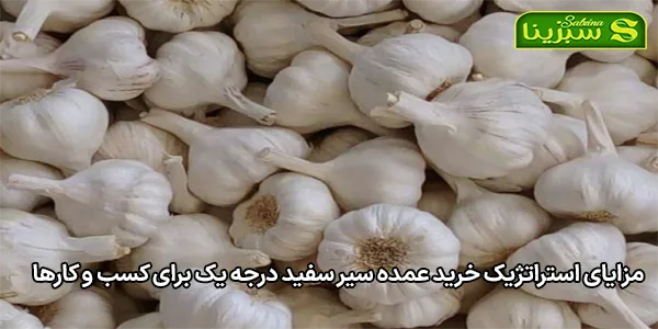 مزایای استراتژیک خرید عمده سیر سفید درجه یک برای کسب و کارها مزایای استراتژیک خرید عمده سیر سفید درجه یک برای کسب و کارها