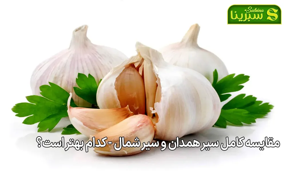 مقایسه کامل سیر همدان و سیر شمال کدام بهتر است؟