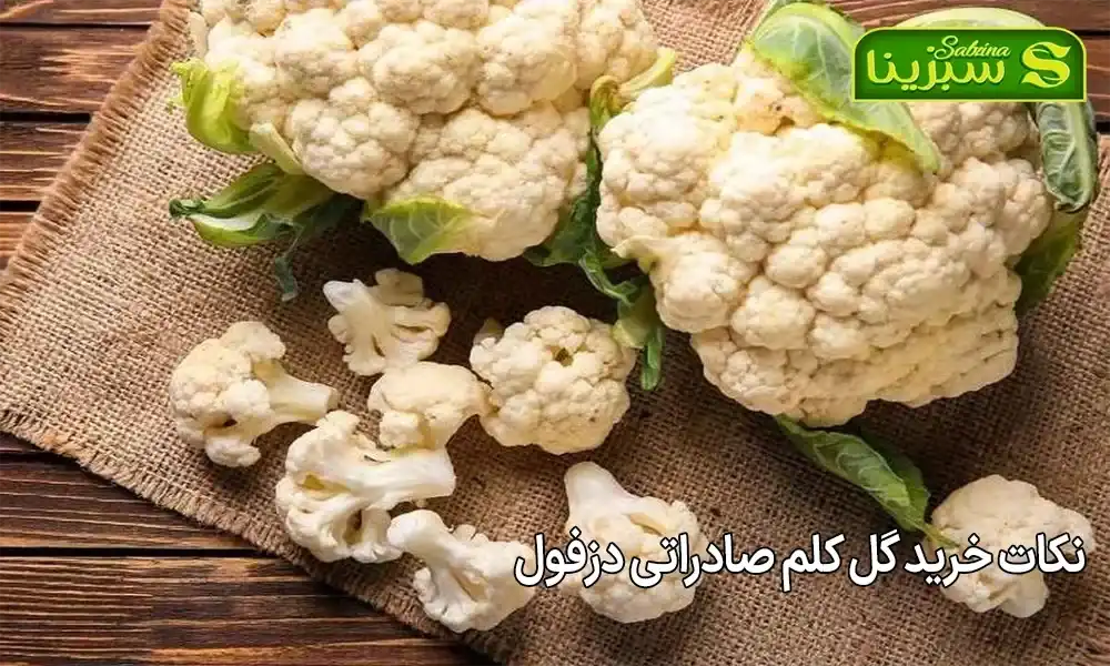 نکات خرید گل کلم صادراتی دزفول