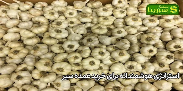 استراتژی هوشمندانه برای خرید عمده سیر استراتژی هوشمندانه برای خرید عمده سیر