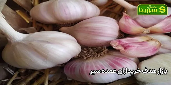 بازار هدف خریداران عمده سیر بازار هدف خریداران عمده سیر