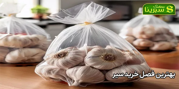 بهترین فصل خرید سیر بهترین فصل خرید سیر