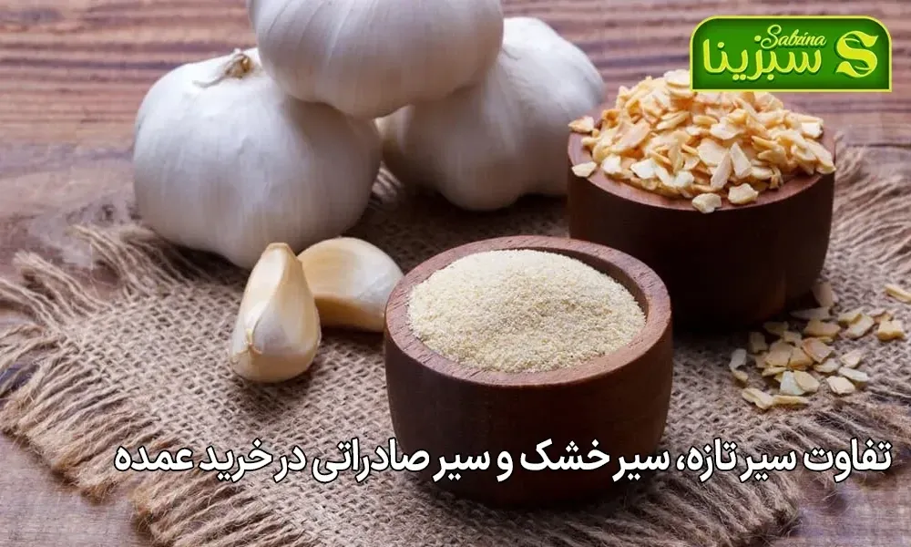 تفاوت سیر تازه، سیر خشک و سیر صادراتی در خرید عمده