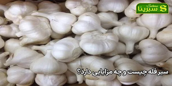 سیر فله چیست و چه مزایایی دارد؟ سیر فله چیست و چه مزایایی دارد؟