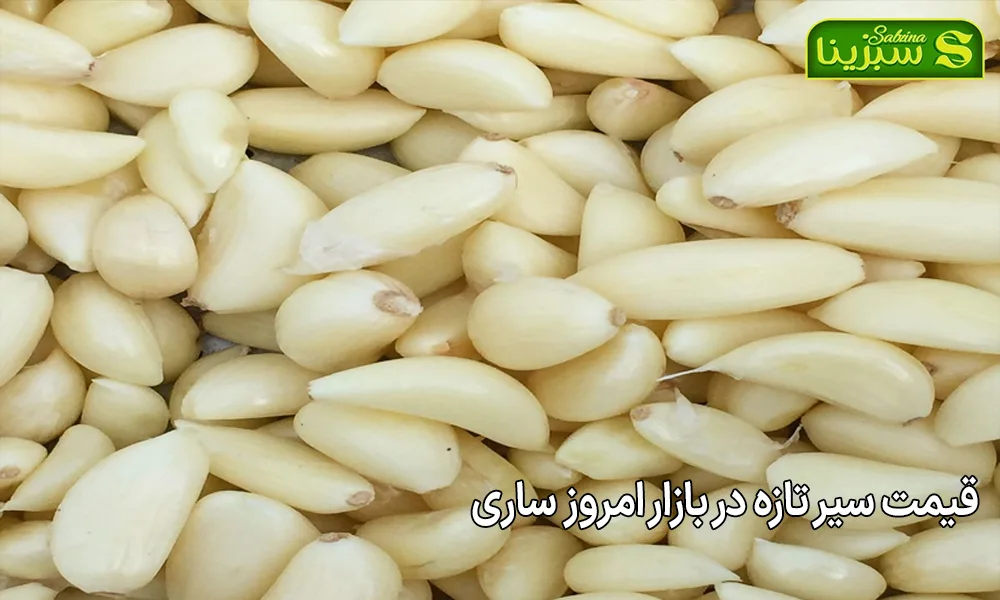 قیمت سیر تازه در بازار امروز ساری