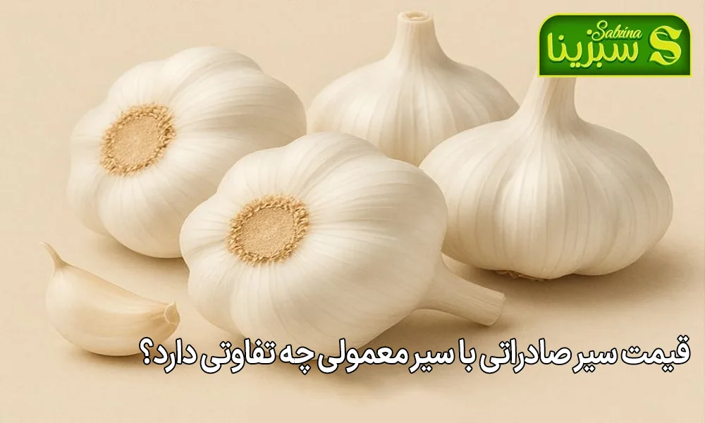قیمت سیر صادراتی با سیر معمولی چه تفاوتی دارد؟