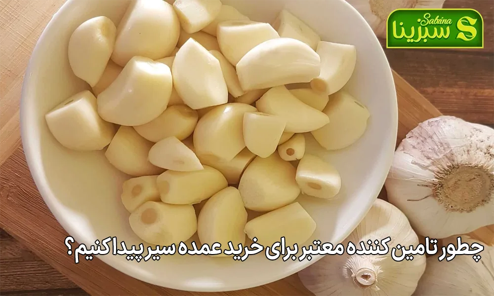 چطور تامین کننده معتبر برای خرید عمده سیر پیدا کنیم؟