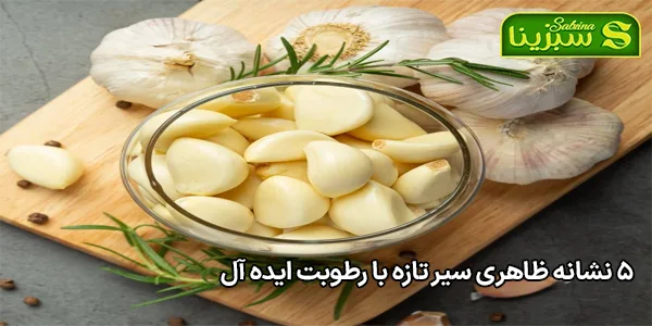 5 نشانه ظاهری سیر تازه با رطوبت ایده آل 5 نشانه ظاهری سیر تازه با رطوبت ایده آل