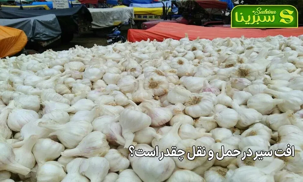 افت سیر در حمل و نقل چقدر است؟