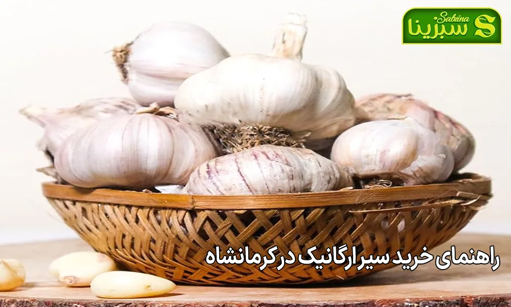 راهنمای خرید سیر ارگانیک در کرمانشاه