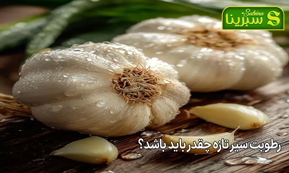 رطوبت سیر تازه چقدر باید باشد؟