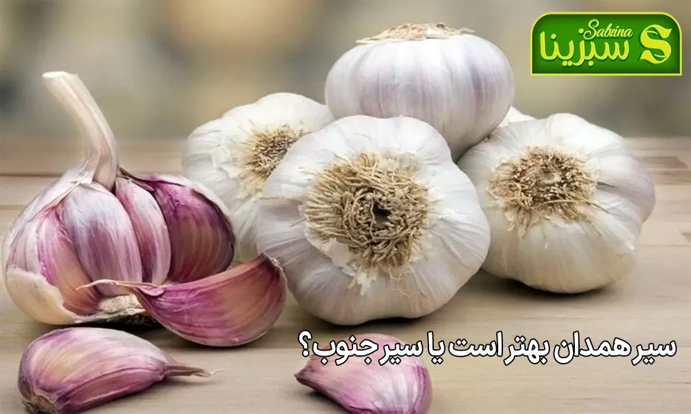 سیر همدان بهتر است یا سیر جنوب؟