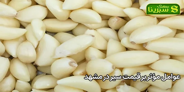 عوامل مؤثر بر قیمت سیر در مشهد عوامل مؤثر بر قیمت سیر در مشهد
