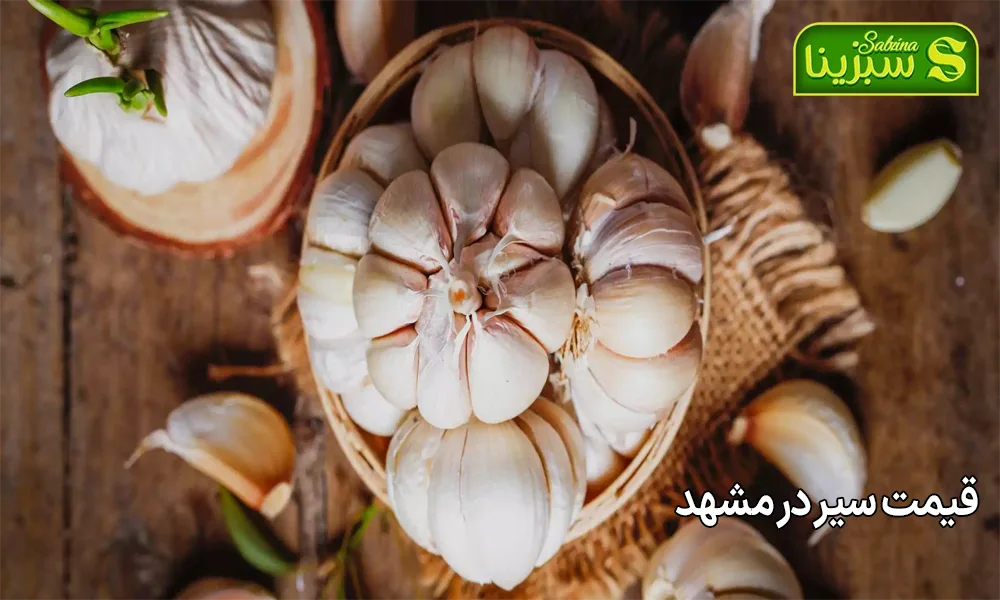 قیمت سیر در مشهد