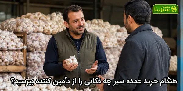 هنگام خرید عمده سیر چه نکاتی را از تأمین کننده بپرسیم؟ هنگام خرید عمده سیر چه نکاتی را از تأمین کننده بپرسیم؟