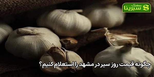 چگونه قیمت روز سیر در مشهد را استعلام کنیم؟ چگونه قیمت روز سیر در مشهد را استعلام کنیم؟