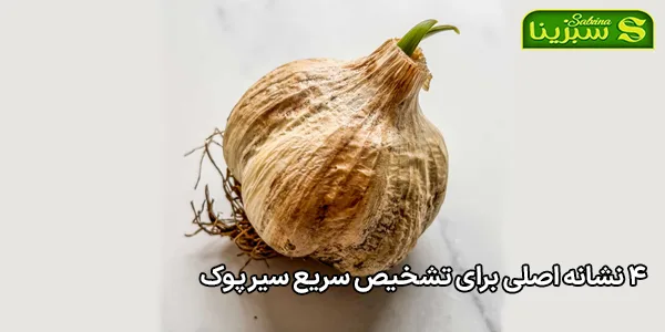 ۴ نشانه اصلی برای تشخیص سریع سیر پوک ۴ نشانه اصلی برای تشخیص سریع سیر پوک
