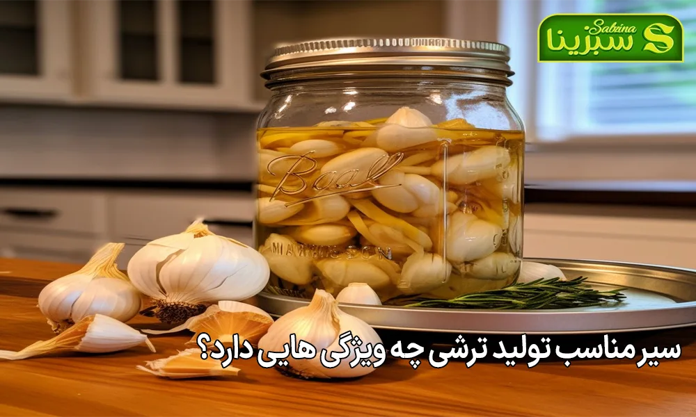 سیر مناسب تولید ترشی چه ویژگی هایی دارد؟